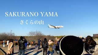 【4K HDR】Day Walk in CHIBA SAWARA JAPAN -JAPAN LOCAL TRIP