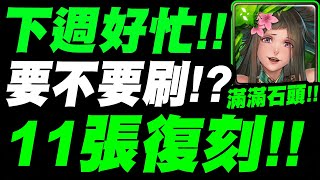 【神魔之塔】下週好忙！『11張卡復刻！我只看到滿滿石頭！』要不要刷？分析給你聽！【小許】