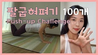 [push-up challenge] Day5 | 팔굽혀펴기 | 5일차