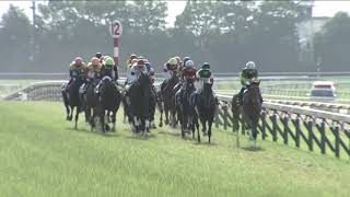 2019 Yushun Himba (Japanese Oaks) International Group 1 2400m