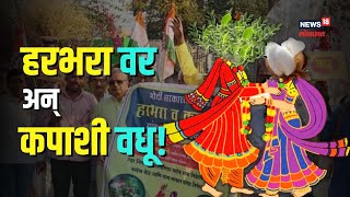 Crop Marriage | शेतकऱ्यांनी का लावलं हरभरा अन् कपाशीचं लग्न? अमळनेरमधील अनोख्या आंदोलनानं वेधलं लक्ष