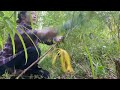 The girl went into the forest alone and was helped by her friend.