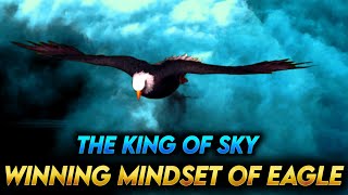 The Winning Mindset of an Eagle : Motivational Video