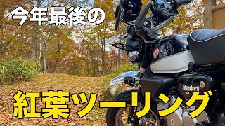 モンキー125  今年最後の紅葉ツーリング 　やっぱりバイクは気持ちがいい〜。