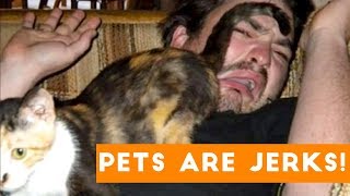 Animals are Jerks Funny Pet Compilation | Funny Pet Videos