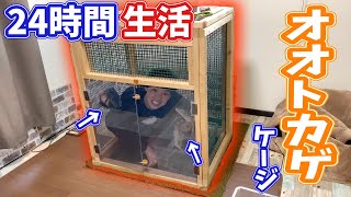 ２４時間オオトカゲのケージの中で生活してみた結果...