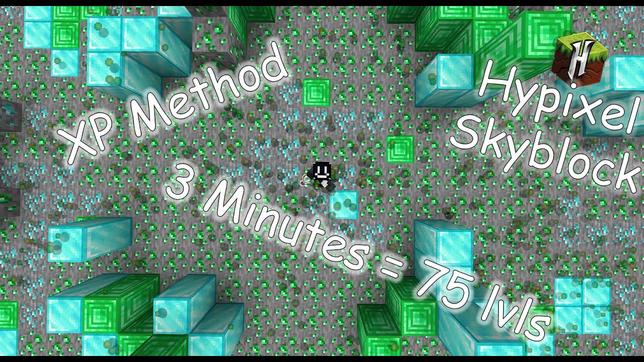 Hypixel Skyblock Easy Xp Method Youtube