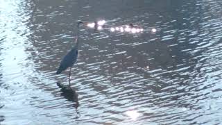 長浜公園・横浜市金沢区