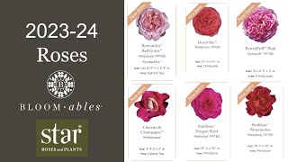 🌹 Star Roses \u0026 Plants 2023-24 New Rose Releases / Scentables™ / Bloomables® / Meilland