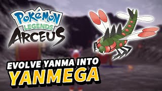 How to evolve YANMA into YANMEGA | Pokemon Legends Arceus