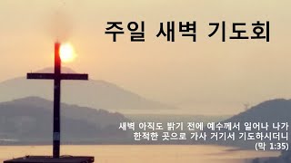 20250112 주일 새벽기도