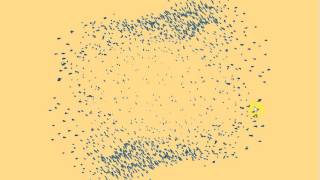 Algorithm Animation: flocking + FBO