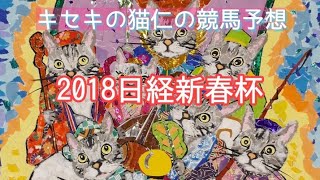 2018日経新春杯枠順確定前 キセキの猫仁の競馬予想