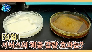 [실험] 시서스의 체중 감량 효과는? MBN 220610 방송