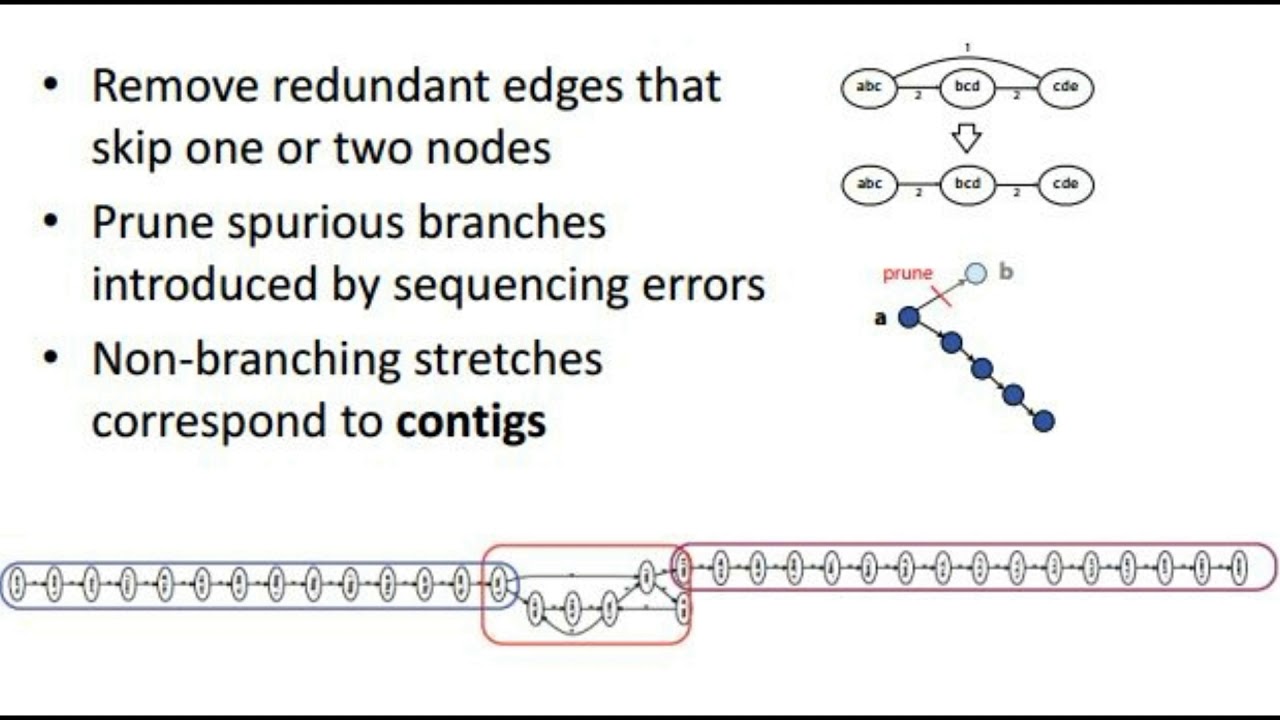 Overlap Vs De-bruijn Graphs | Genome Assembly - YouTube