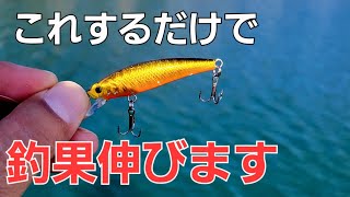 【100均釣具】秘密にしてたダイソーミノー爆釣間違いなしの誘い方。釣れ過ぎてフック破壊しました！！