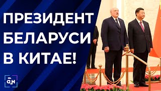 Беларусь и Китай: всепогодное и всестороннее стратегическое партнерство. Панорама