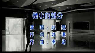 赵薇-微小的部分 (Zhao Wei-Wei Xiao De Bu Fen)