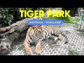 Tiger Park | Thailand