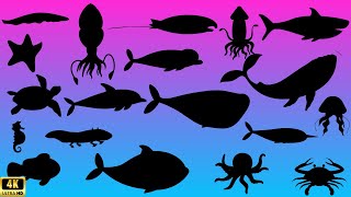 Guess the  sea animal shadow quiz| shadow game|learning sea animals video for kids |Family Fun Time!