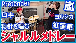 シャルルにのせてメドレー演奏してみた/ラトゥラトゥ