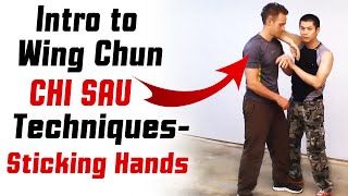 Introduction To Wing Chun Chi Sau Techniques Sticking Hands