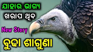 ଯାହାର ଭାଗ୍ୟ ଭଲ ଥିବ ବୁଢା ଶାଗୁଣା | budha saguna story | heart touching story | moral story | mog