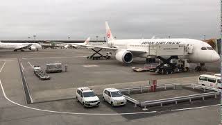 Time lapse - JAL Boeing 787 in Narita. - Clip