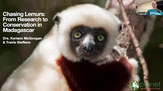 Chasing Lemurs: From Research to Conservation in Madagascar