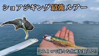 ショアジギ最強ルアーで太刀魚とマゴチGET‼︎