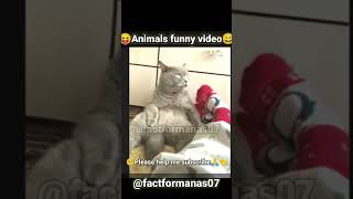 Funny 🤣Animals Gone Wild: Hilarious Viral Moments!🧐