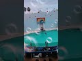 須磨水族館最後のイルカショー0