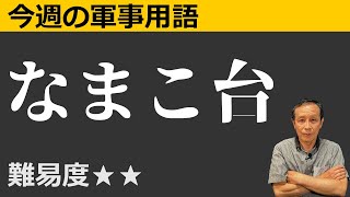 今週の軍事用語＃008 なまこ台