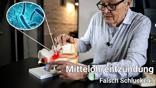 Mittelohrentzündung - Das müssen Sie wissen: Ursachen korrigieren und die Entzündung abwehren