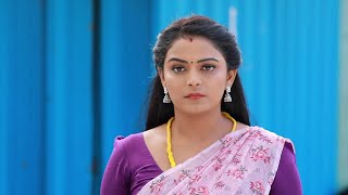 Thangamagal today 11 January 2025 episode full episode |Thangamagal today full episode