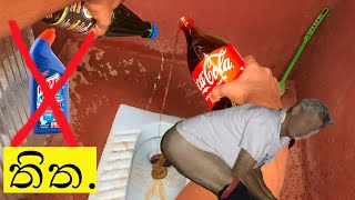 how to clean a toilet use coca kolaබ් \u0026 Vinegar | ටොයිලට් එක මේ විදිහට හෝදල තියෙනවද?