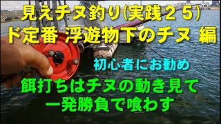 見えチヌ釣り（実践２５）定番の浮遊物下はチヌの動きを見てチヌから餌が見える位置に打って一発勝負で喰わす【前打ち／ヘチ釣り／落とし込み／河川／クロダイ／黒鯛／カニ／釣り方／テクニック】