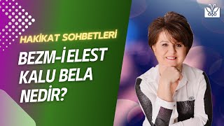 BEZM-İ ELEST  (KALU BELA) NEDİR? GERÇEKTEN RUHLAR ALEMİNDE  RABBİMİZE SÖZ VERDİK Mİ?