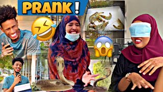 PRANK// KOKO IYO AMIIRO INDHAHA KA XERAY BAHAL AYAA HADIYAD UGA DHIGAY 🤣🤣..?