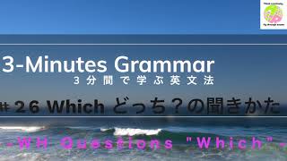 英文法の最初から！3 Minutes Grammar!  中学英語のやり直しにも。 #26 疑問詞 Which の使い方