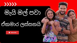 Mai Mal (මැයි මල්) - Visal Adare Movie | Yasas Medagedara | Sachin, Rashiprabha, Nimesh, Dinakshie