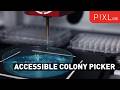 Automated Colony Picking Made Affordable | PIXL Go!