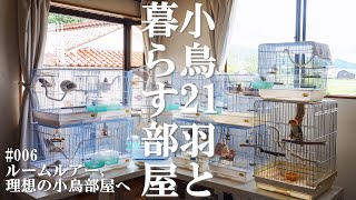 小鳥21羽と暮らす部屋 田舎のおうちの小鳥部屋ルームツアー 理想の小鳥部屋へ向けて #006