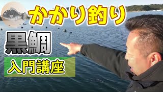 クロダイのかかり釣り用のダンゴの作り方や、釣り方の基本を初心者向けに教えてもらいました【筏、カセ釣り】