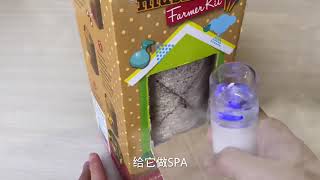 20210828 Kinyan mushroom farmer kit