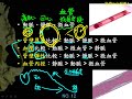 10601高一基礎生物3 1 05血管的結構比較一公