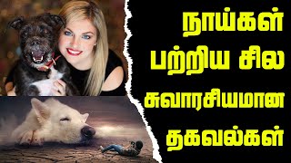 நாய்கள் பற்றிய சில சுவாரசியமான தகவல்கள் | Tamil Metro Net