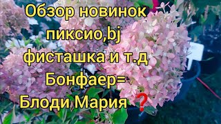 Новиночки 23 года.👍#bj Пиксио,бонфаер и др. Обзор сортов