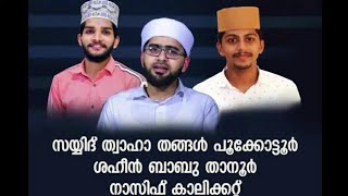 thwaha thangal | Shahin babu | Nasif calicut | ഒരു അടിപൊളി നോൺ സ്റ്റോപ്പ്