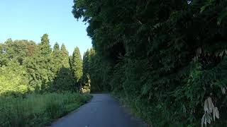 二上山平和の鐘までジョギング